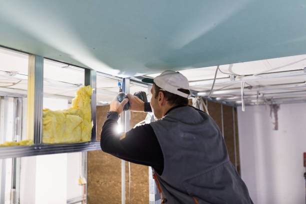 Best Insulation for Specific Applications in Mazon, IL