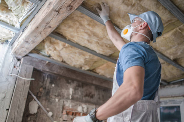 Best Energy Efficiency Solutions in Mazon, IL